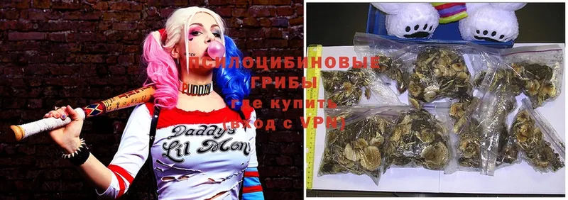 Галлюциногенные грибы GOLDEN TEACHER  купить наркотики сайты  Рыбное 